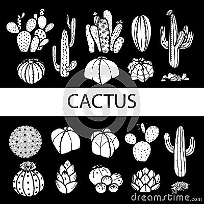 Set of isolated cactus and succulents in white plane. Vector Vector Illustration