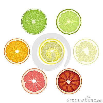Set of isolated colored circle slices of bergamot, lime, lemon, orange, pomelo, bloody orange, pink grapefruit on white background Vector Illustration