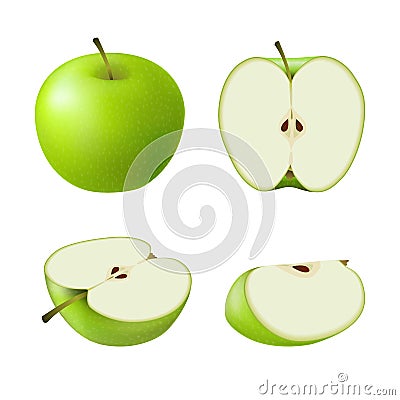 Set of isolated colored green apple half, slice and whole juicy fruit on white background. Realistic fruit collection. Vector Illustration