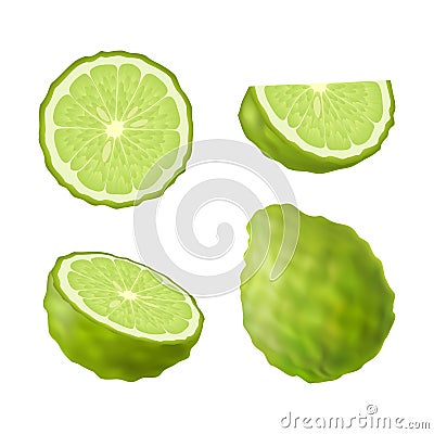 Set of isolated colored green bergamot, kaffir lime, half, slice, circle and whole juicy fruit on white background. Realistic citr Vector Illustration