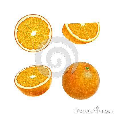 Set of isolated colored orange, half, slice, circle and whole juicy fruit on white background. Realistic citrus collection. Vector Illustration