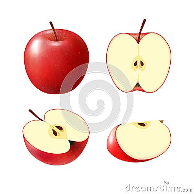 Set of isolated colored red apple half, slice and whole juicy fruit on white background. Realistic fruit collection. Vector Illustration