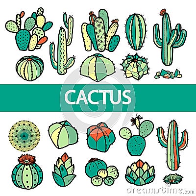 Set of isolated colorful cactus and succulents in black outline. Vector Illustration