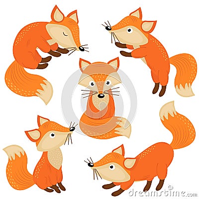 Set of isolated cute foxes part 1 Vector Illustration