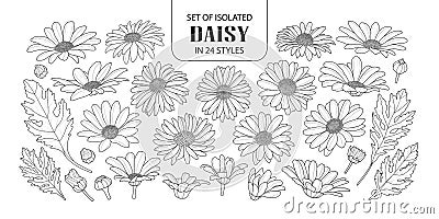 Set of isolated daisy in 24 styles. Vector Illustration