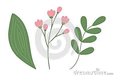 Set 3 isolated design elements of flowering branch, twig with small leaves and spathiphyllum leaf Vector Illustration