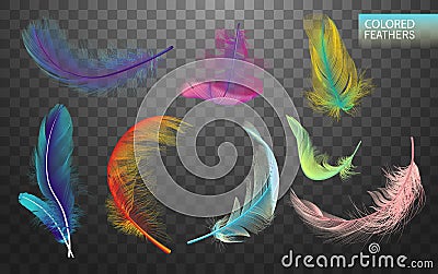 Set of isolated falling colored fluffy twirled feathers on transparent background in realistic style. Light cute Vector Illustration