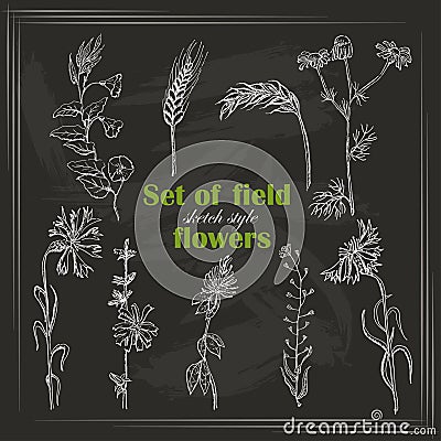 Set of isolated field plants in sketch style on black background Cartoon Illustration