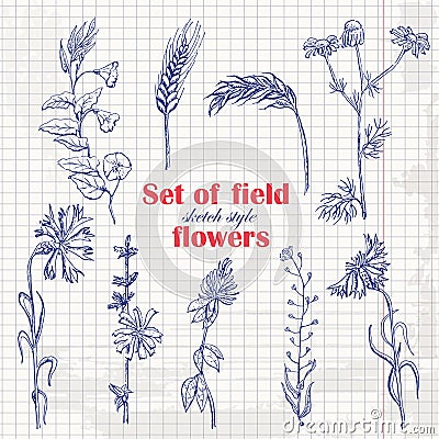 Set of isolated field plants in sketch style on paper Cartoon Illustration