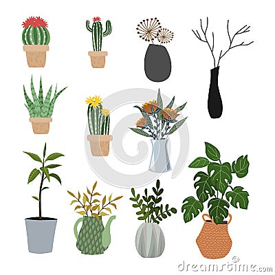 Set of isolated flowers in pots, vases and baskets - succulents, cacti, monstera. Vector flat Vector Illustration