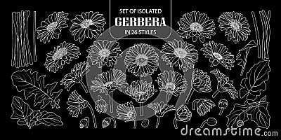 Set of isolated gerbera in 26 styles. Vector Illustration