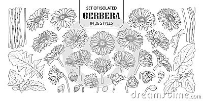 Set of isolated gerbera in 26 styles. Vector Illustration