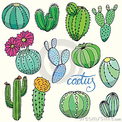 Set of isolated hand drawn cactuses Vector Illustration