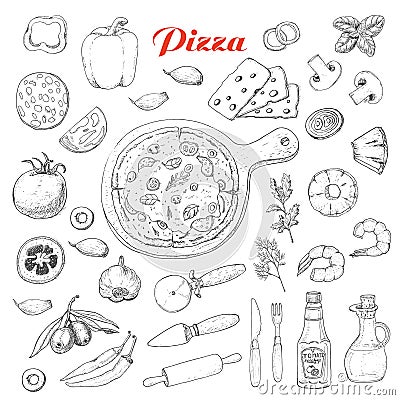 Set of isolated ingredients for cooking pizza Vector Illustration