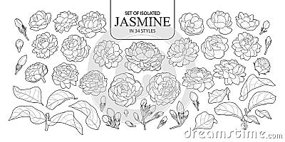 Set of isolated Jasmine in 34 styles Vector Illustration