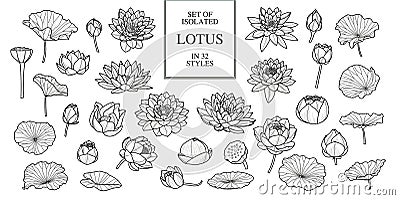 Set of isolated lotus in 32 style. Hand drawn style. Vector Vector Illustration