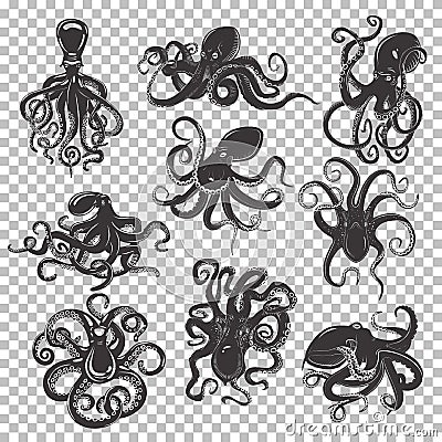 Set of isolated octopus mascot or tattoo Vector Illustration