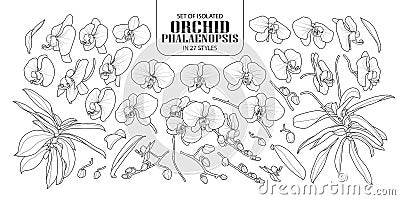 Set of isolated orchid in 27 styles. Vector Illustration