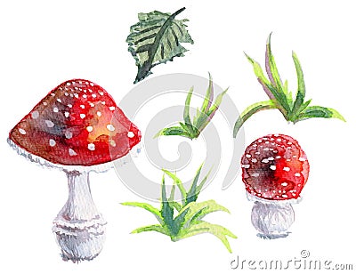 Set of isolated parts of watercolour Illustration Toadstools Stock Photo