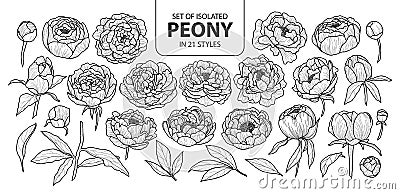 Set of isolated peony in 21 styles. Cute hand drawn flower vector illustration in black outline and white plane. Vector Illustration