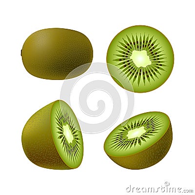 Set of isolated realistic colored whole juicy kiwi, half green kiwi and kiwi circle on white background. Realistic fruit collectio Vector Illustration