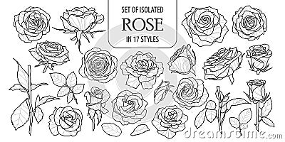 Set of isolated rose in 17 styles. Cute flower illustration in hand drawn style. Vector Illustration