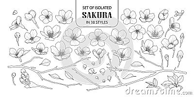 Set of isolated sakura in 38 styles. Vector Illustration