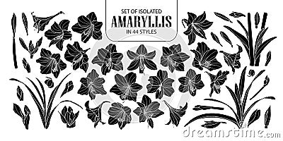 Set of isolated silhouette Amaryllis or Hippeastrum in 44 styles. Cute hand drawn flower vector illustration in white outline and Vector Illustration