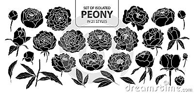 Set of isolated silhouette peony in 21 styles. Cute hand drawn flower vector illustration in white outline and black plane. Vector Illustration