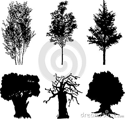 Set isolated trees - 13 Vector Illustration