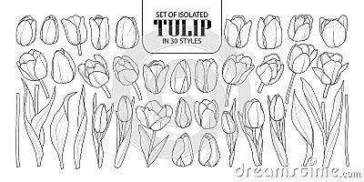 Set of isolated Tulip in 30 styles. Cute hand drawn flower vector illustration in black outline and white plane. Vector Illustration