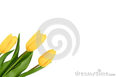 Set isolated tulips single and bouquets on white background with clipping path. Flowers objects for design, advertising, postcards Stock Photo