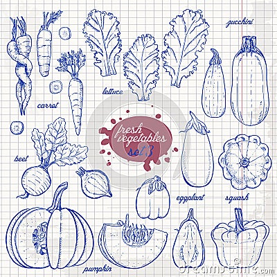 Set of isolated vegetables in a sketch style on paper. Carrots, lettuce, zucchini, eggplant, pumpkin, beets, squash Vector Illustration