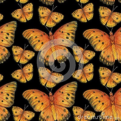 Set of isolated watercolor butterflies on black background. Vintage summer isolated spring art. Watercolor illustrations Cartoon Illustration