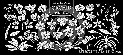 Set of isolated white silhouette orchid in 40 styles .Cute hand drawn flower vector illustration in white plane and no outline. Vector Illustration