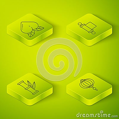 Set Isometric Decree, paper, parchment, scroll, Bamboo, Chinese paper lantern and Peach fruit icon. Vector Vector Illustration