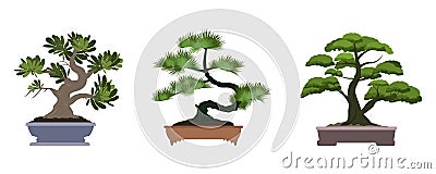 Set of Japenese colorful bonsai tree in pots, house plant. Vector Illustration