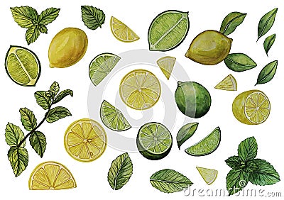 Set of juicy lemons and limes, mint and leaves isolated on a white background. Whole fruits, halves and slices. Stock Photo