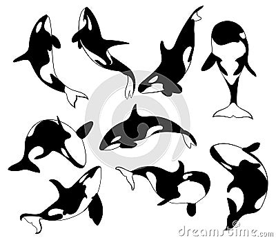 Set of killer whales. Collection of stylized orca whale. Black white vector illustration of sea predatory fish. Tattoo. Vector Illustration