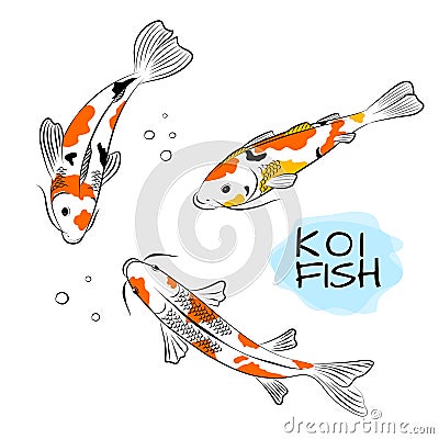 Set of koi carps fish vector illustration. Japanese oriental style colorful carps swimming Vector Illustration