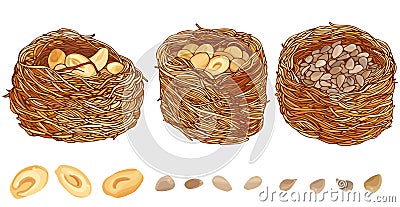 Set Kunafah with peanuts and seeds vector illustration on white background. Vector Illustration