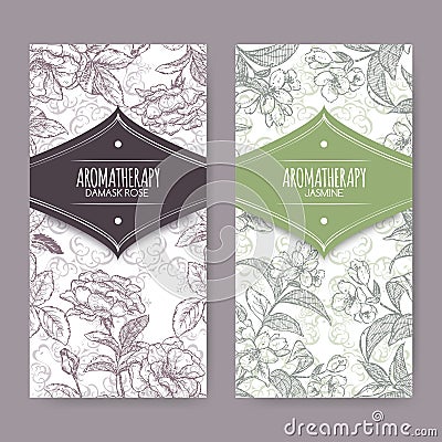 Set of 2 labels with Damask rose and jasmine sketch Vector Illustration