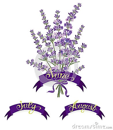 Set labels with hand-drawn lettering, months names of season year, Beautiful bouquet of lavender flowers Cartoon Illustration