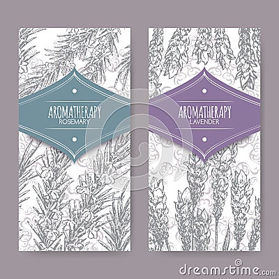 Set of 2 labels with lavender and rosemary Vector Illustration