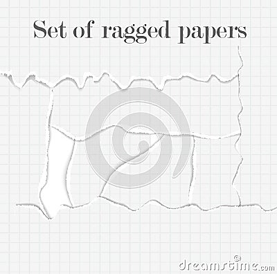 Set of lacerated papers Vector Illustration