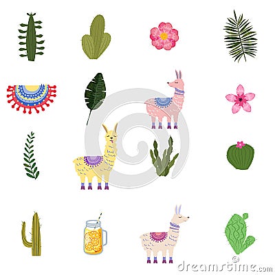 Set Lama Alpaca cacti drinks and decorative. Collection funny elements for decoration, vector, illustration, isolated Vector Illustration