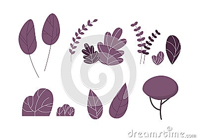 Set Leaf. Exotics. Vintage vector botanical illustration. Vector Illustration