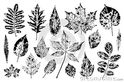 Set of leaf stamps. Prints of leaves of rowan, oak, maple, linden, elm, pear, apple and others. Vector Illustration