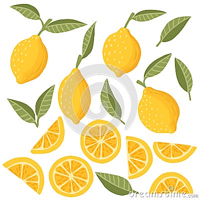 Set of lemon citrus yellow fruit whole halved and sliced with green leaves flat vector illustration on white background Cartoon Illustration