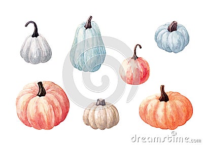 Set of light colored pumpkins. Watercolor illustration isolated on white Cartoon Illustration